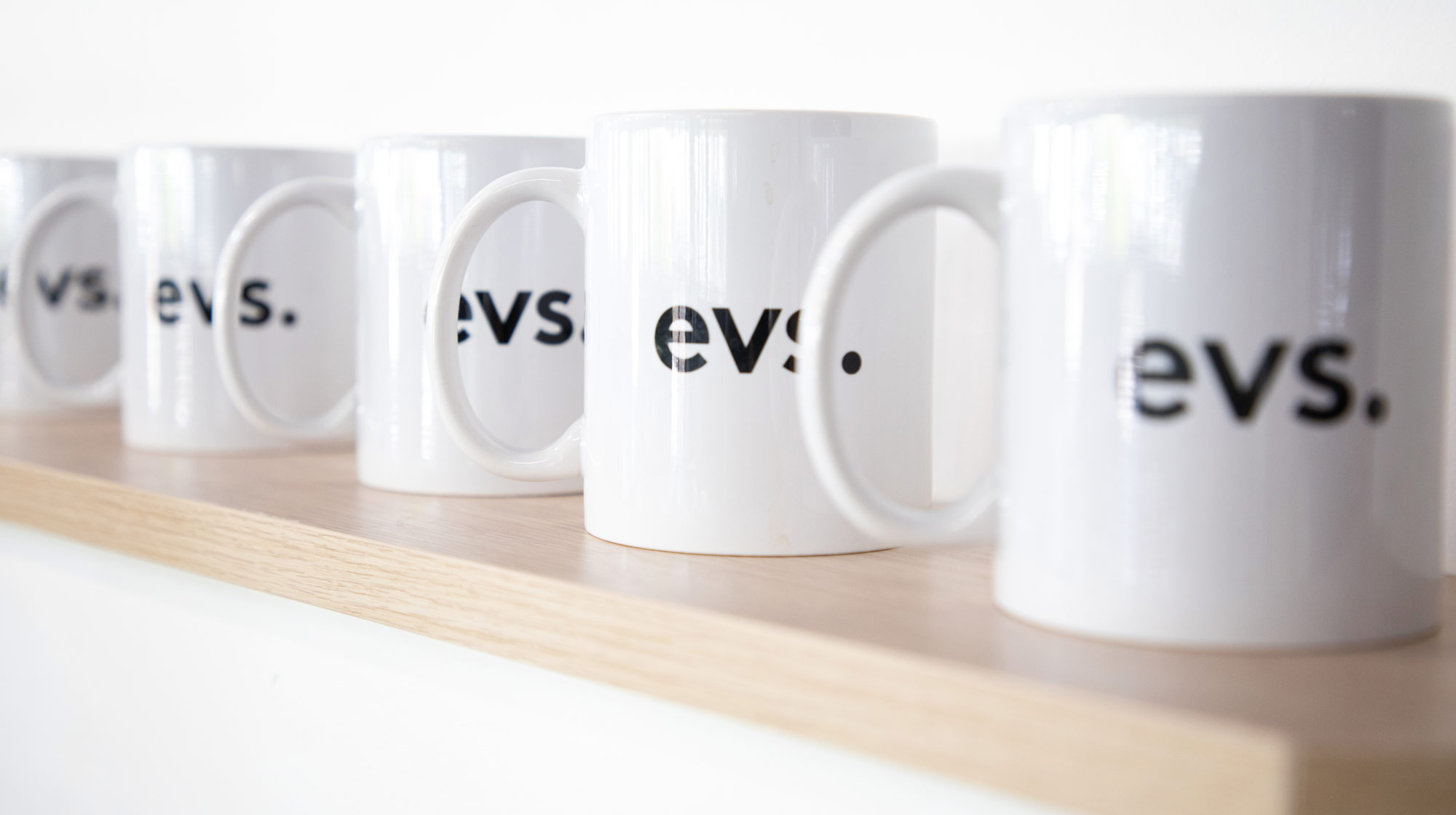 accueil evs entreprise